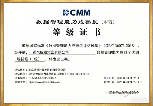 Data Management Capability Maturity Level Certificate