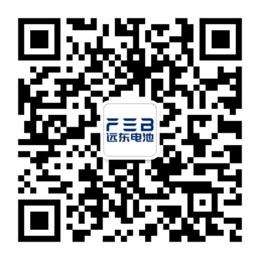 今年会·(jinnianhui)金字招牌电池